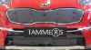 Trim/Protection Strip, radiator grille Kia Sportage 18-