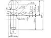 Gas Spring, boot/cargo area Kuulmunakas Ø10 M6,L 30mm