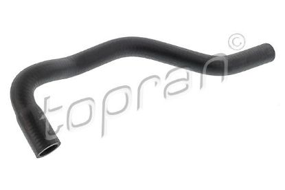 Radiator Hose VAG