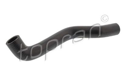 Radiator Hose BMW/MINI