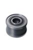 Alternator Freewheel Clutch CLIO III (BR0/1, CR0/1)