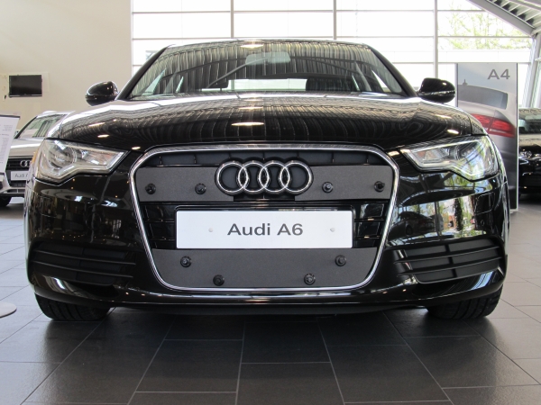 Trim/Protection Strip, radiator grille Audi A6 2011-2014