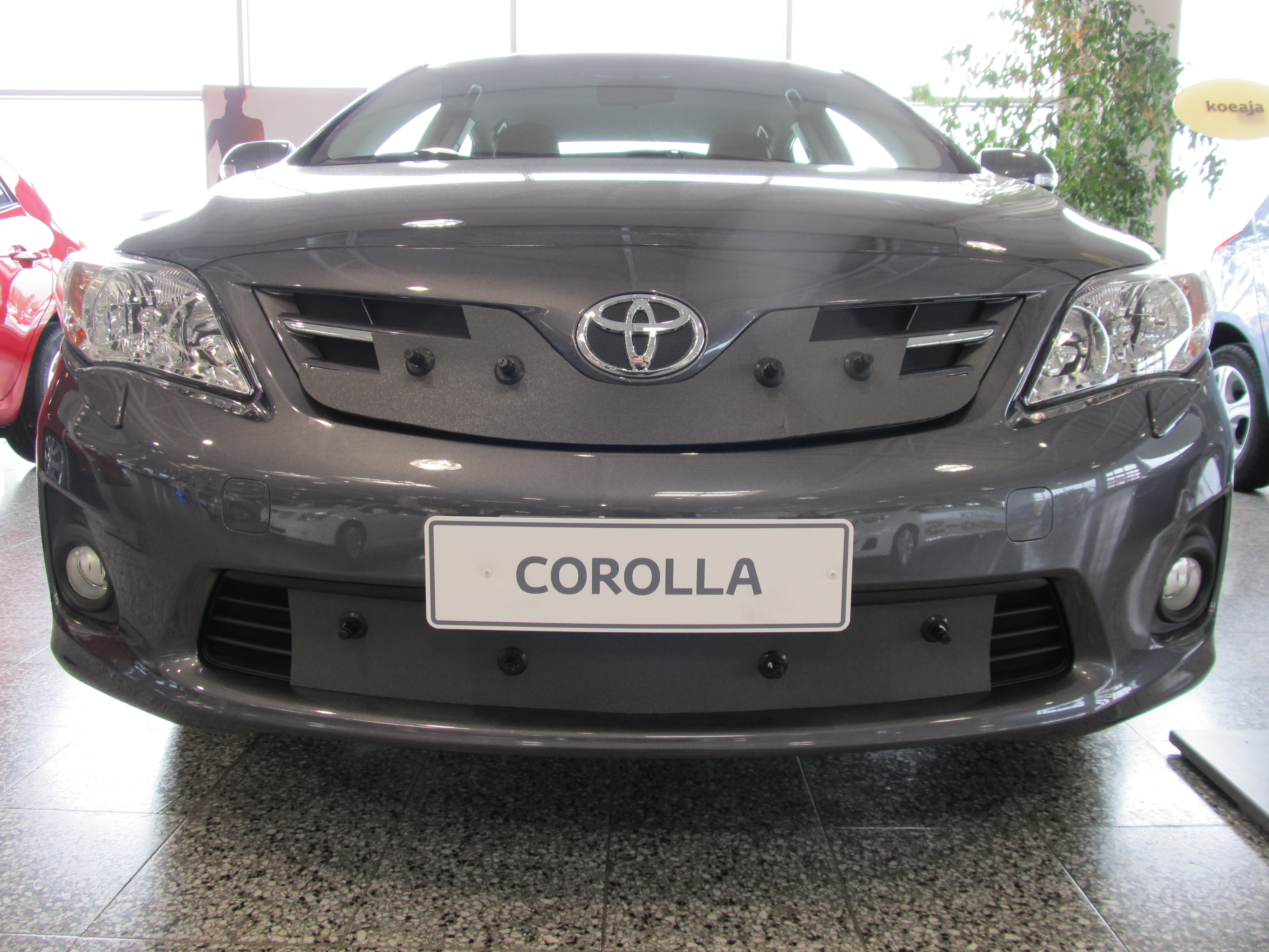Trim/Protection Strip, radiator grille Toyota Corolla 2011-