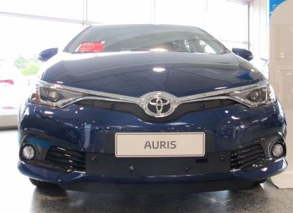 Trim/Protection Strip, radiator grille Toyota Auris 2015-