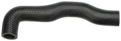 Radiator Hose 3242