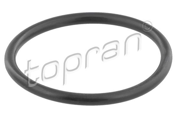 Gasket, coolant flange VAG-Normteile
