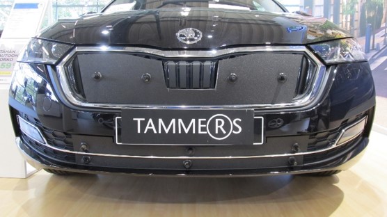 Trim/Protection Strip, radiator grille Skoda Octavia 20-