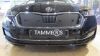 Trim/Protection Strip, radiator grille Skoda Octavia 20-
