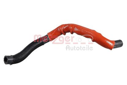 Radiator Hose DACIA - 924002833R