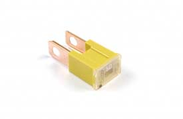 Fuse 60A 32V (kruvikinnitusega)