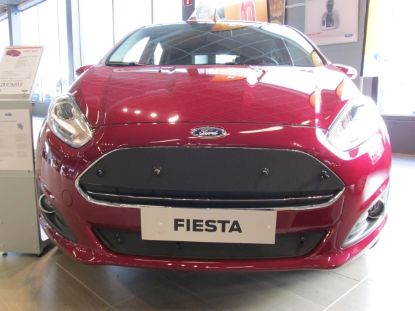Trim/Protection Strip, radiator grille Ford Fiesta 2013-2017