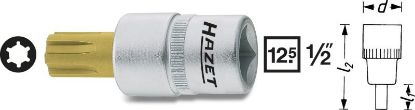 Barrier Mesh, boot-/cargo area Ribe M14