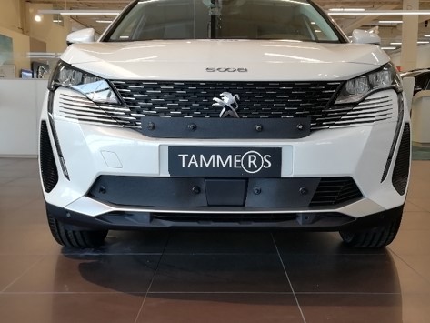 Trim/Protection Strip, radiator grille Peugeot 5008 2021-