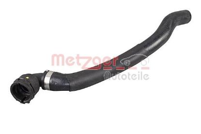 Radiator Hose BMW