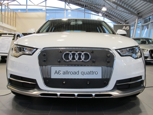 Trim/Protection Strip, radiator grille Audi A6 Allroad 2012-2014