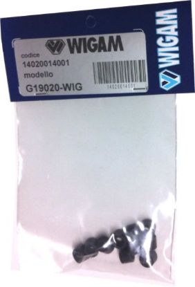 Gasket, coolant pipe G19020-WIG tihendid 1/4" 10tk