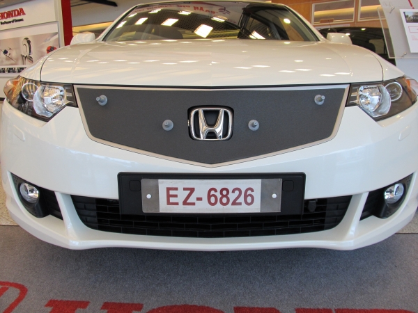 Trim/Protection Strip, radiator grille Honda Accord 2009-2011