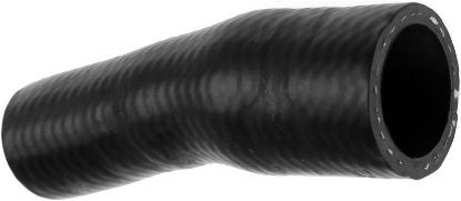 Radiator Hose MINI 17127535899