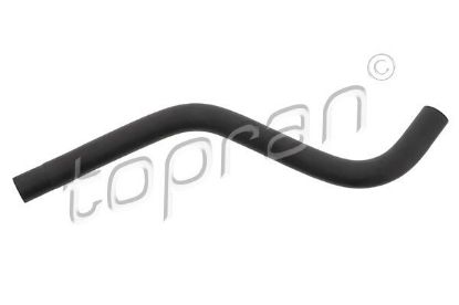 Radiator Hose VAG