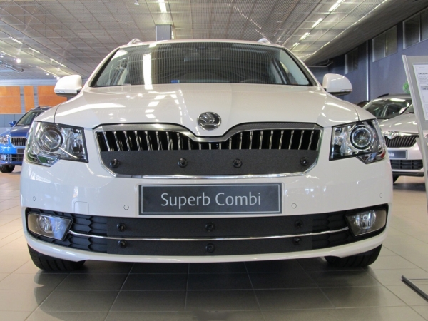 Trim/Protection Strip, radiator grille Skoda Superb 2013-2015