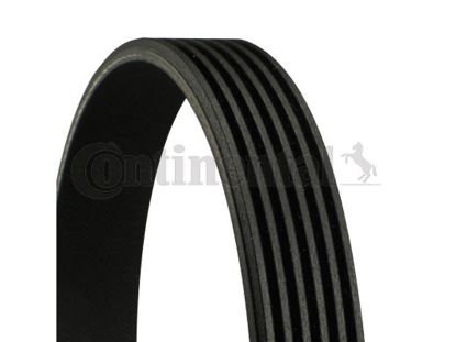 V-Ribbed Belt VOLVO - 30777660 V-Ribbed Belt VOLVO - 30777660