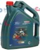Engine Oil FORD OE Magnatec 0w-30 D 5L