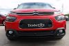 Trim/Protection Strip, radiator grille Citroen C4 Cactus 18-21