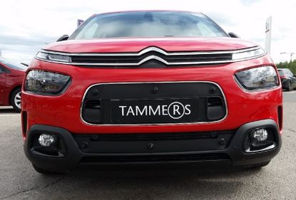 Trim/Protection Strip, radiator grille Citroen C4 Cactus 18-21