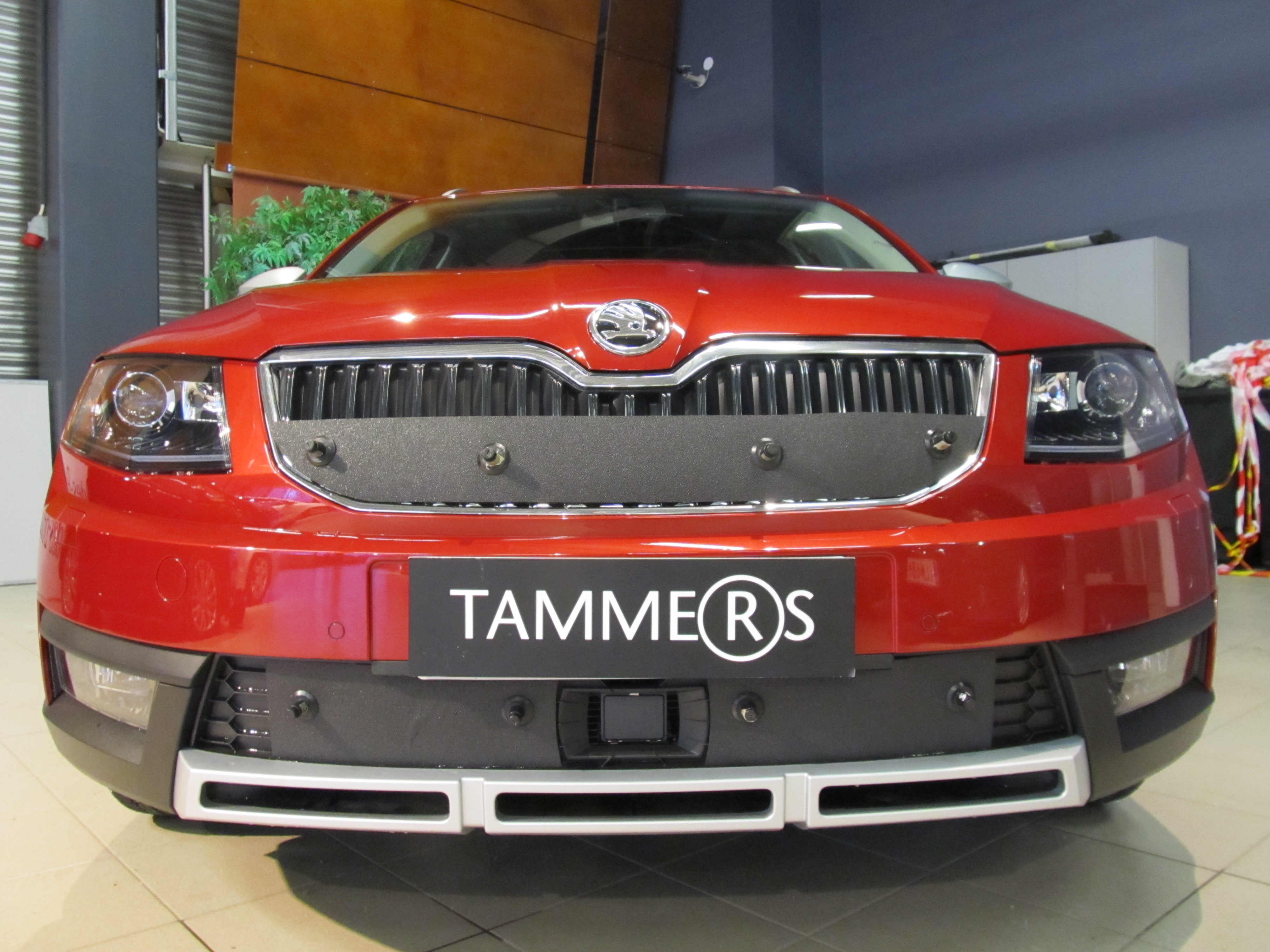 Trim/Protection Strip, radiator grille Skoda Octavia Scout 2015-2016