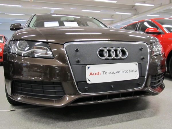 Trim/Protection Strip, radiator grille Audi A4 2007-2011