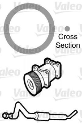 Gasket, coolant pipe Citroen
