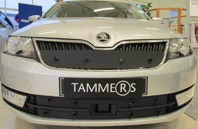 Trim/Protection Strip, radiator grille Skoda Rapid 2015-2017 esikaameraga