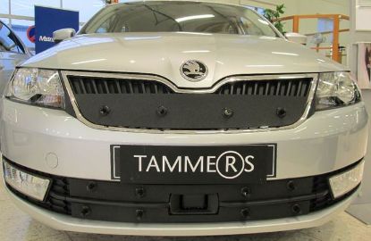Trim/Protection Strip, radiator grille Skoda Rapid 2015-2017 esikaameraga