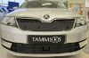 Trim/Protection Strip, radiator grille Skoda Rapid 2015-2017 esikaameraga