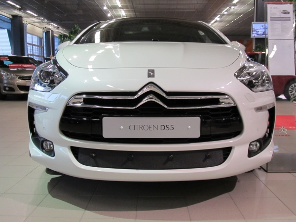 Trim/Protection Strip, radiator grille CITROEN DS5 2012-