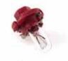 Bulb, pre-heater timer Pirn 24V/1,4W KELL 1529/1531