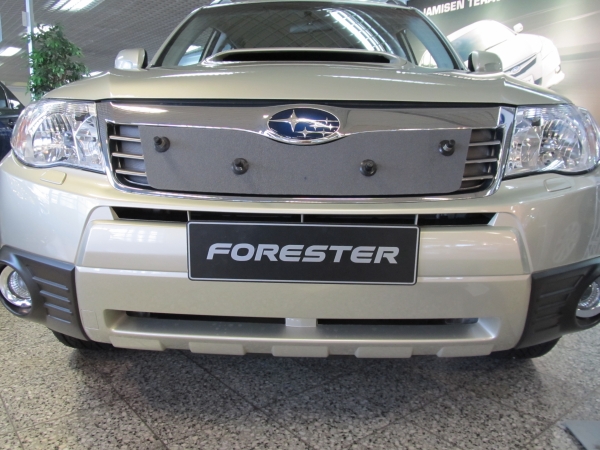 Trim/Protection Strip, radiator grille Subaru Forester 2009-2011