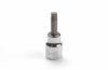 Socket Wrench Insert, oil drain plug TORX T30/50 mm