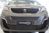Trim/Protection Strip, radiator grille Peugeot Expert 16-23