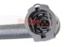 Radiator Hose BMW