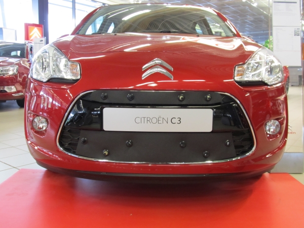 Trim/Protection Strip, radiator grille Citroen C3 10-13