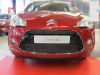 Trim/Protection Strip, radiator grille Citroen C3 10-13