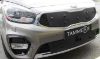 Trim/Protection Strip, radiator grille Kia Carens 2017-