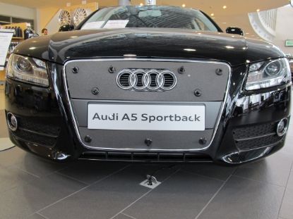 Trim/Protection Strip, radiator grille Audi A5 Sportback 2010-2011