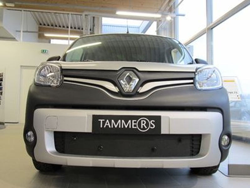 Trim/Protection Strip, radiator grille Renault Kangoo 14-