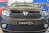 Trim/Protection Strip, radiator grille Dacia Logan MCV 2016-
