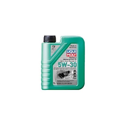 Engine Oil GARDEN  aia- ja talveseadmete õli 5w-30 1L
