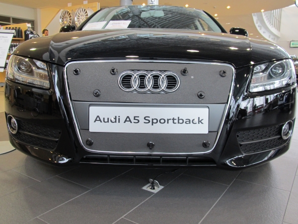 Trim/Protection Strip, radiator grille Audi A5 Sportback 2009-2011