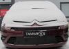 Trim/Protection Strip, radiator grille Citroen C4 Grand Picasso 2007-2010