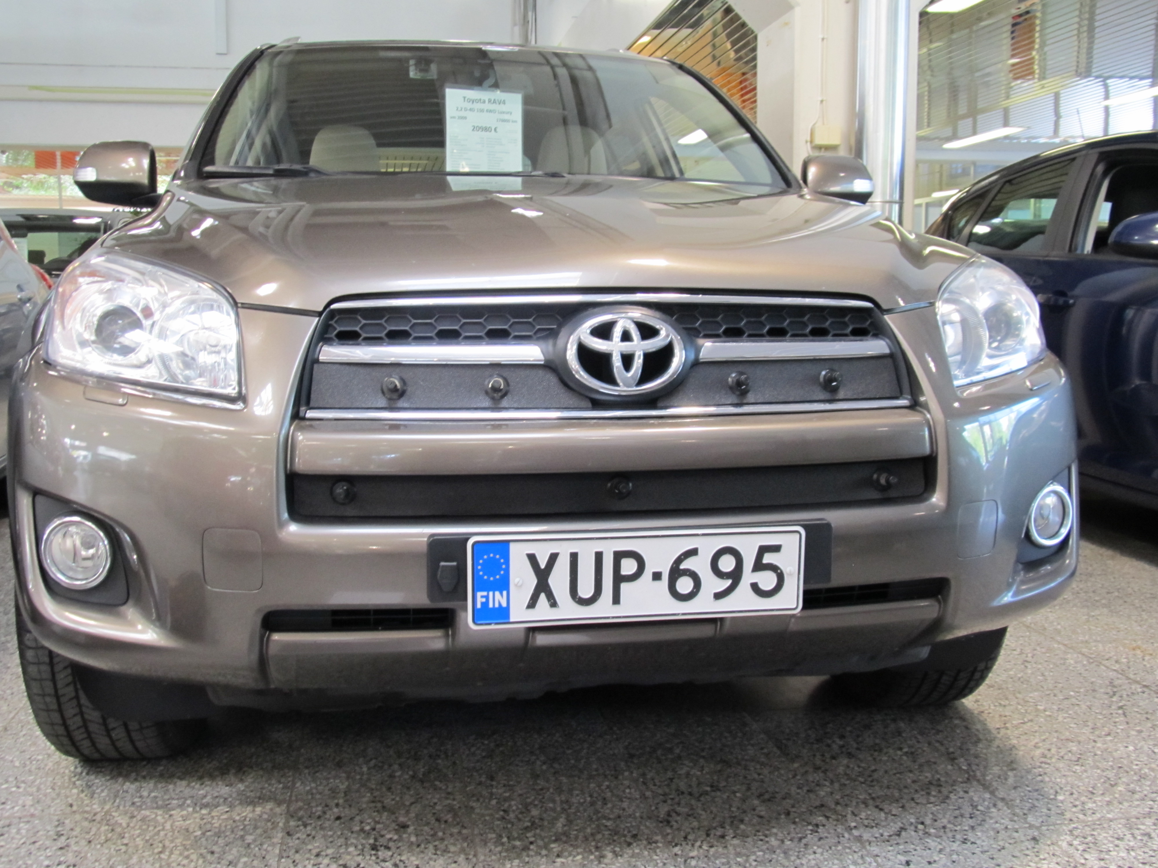 Trim/Protection Strip, radiator grille Toyota RAV4 2009-2010